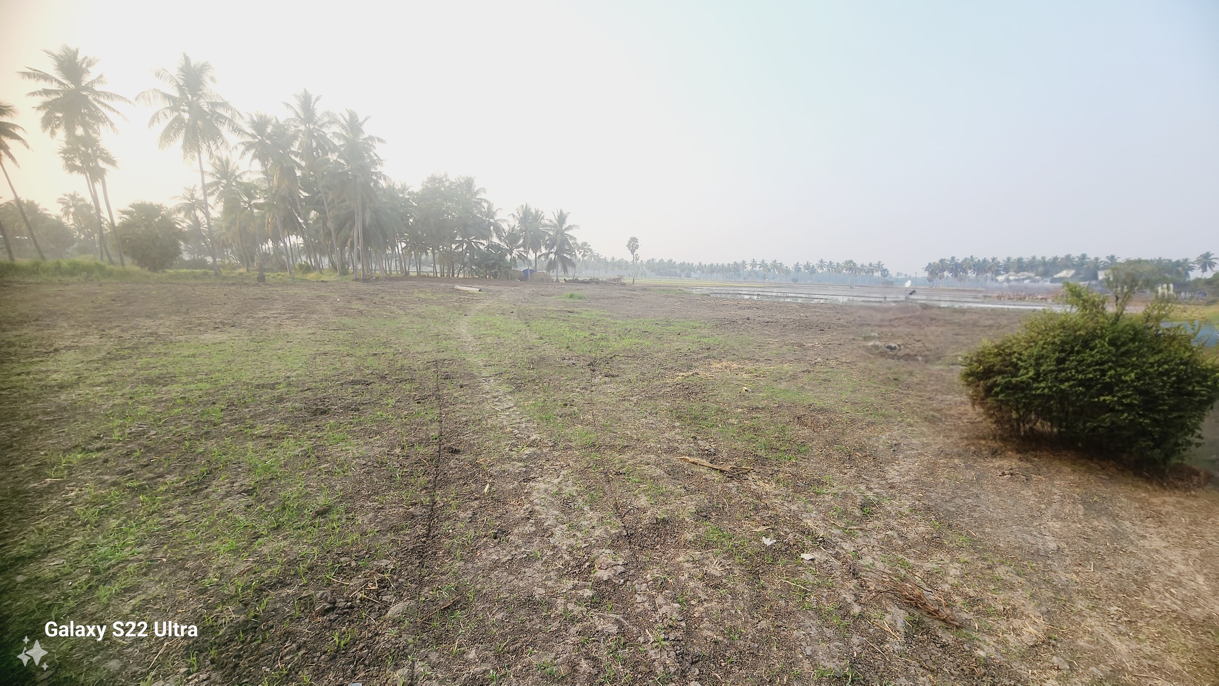 Plot For Resale in Gandhinagar Bhimavaram  7808921