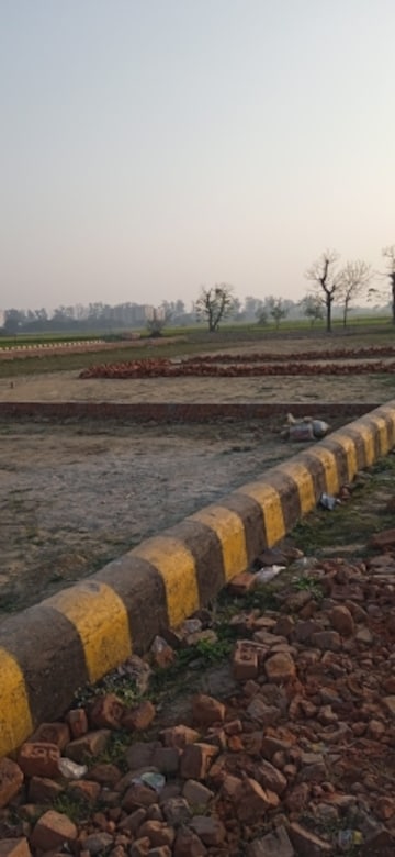 Plot Area in  Plot at Safedabad – for Sale