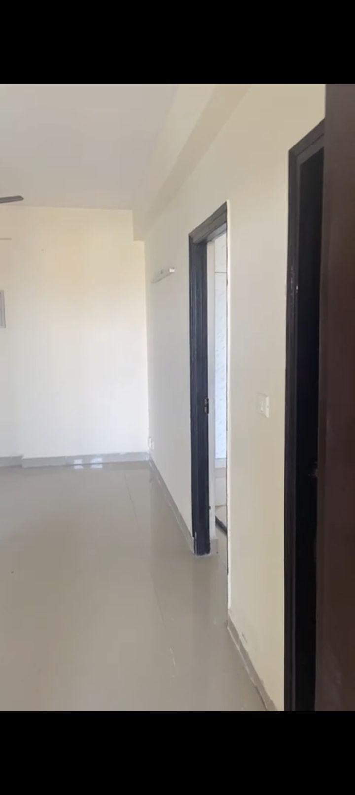 2 BHK Apartment For Rent in JKG Palm Resort Raj Nagar Extension Ghaziabad  7809149