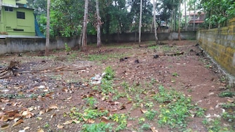 Plot For Resale in Thirumala Thiruvananthapuram  7809191