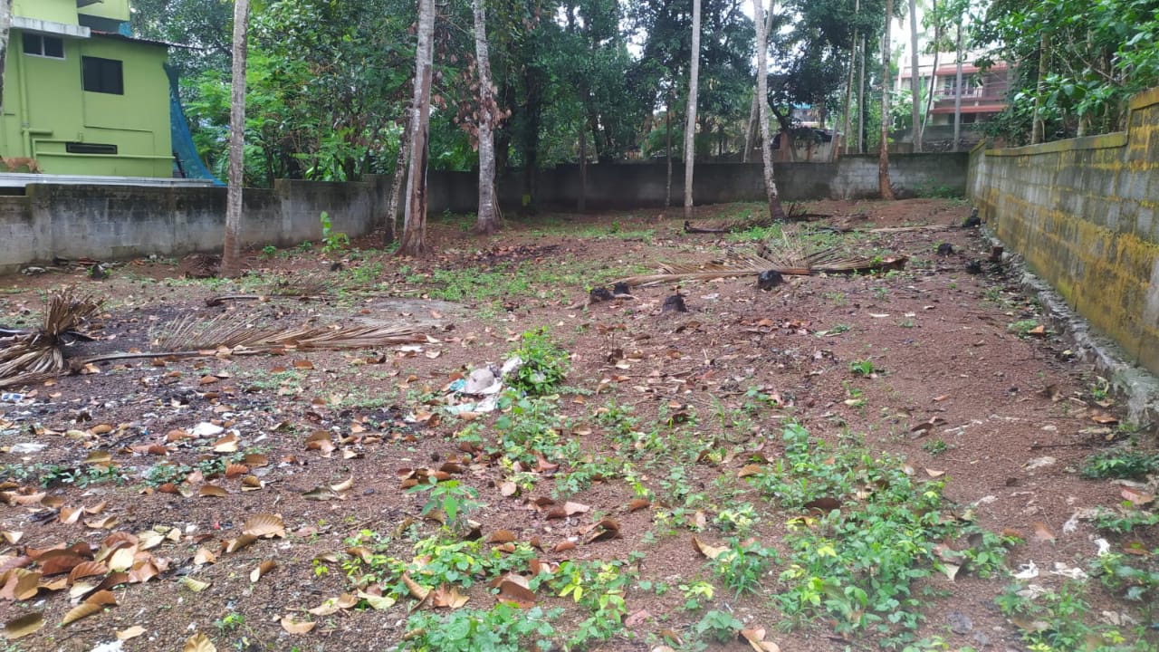 Plot For Resale in Thirumala Thiruvananthapuram  7809191