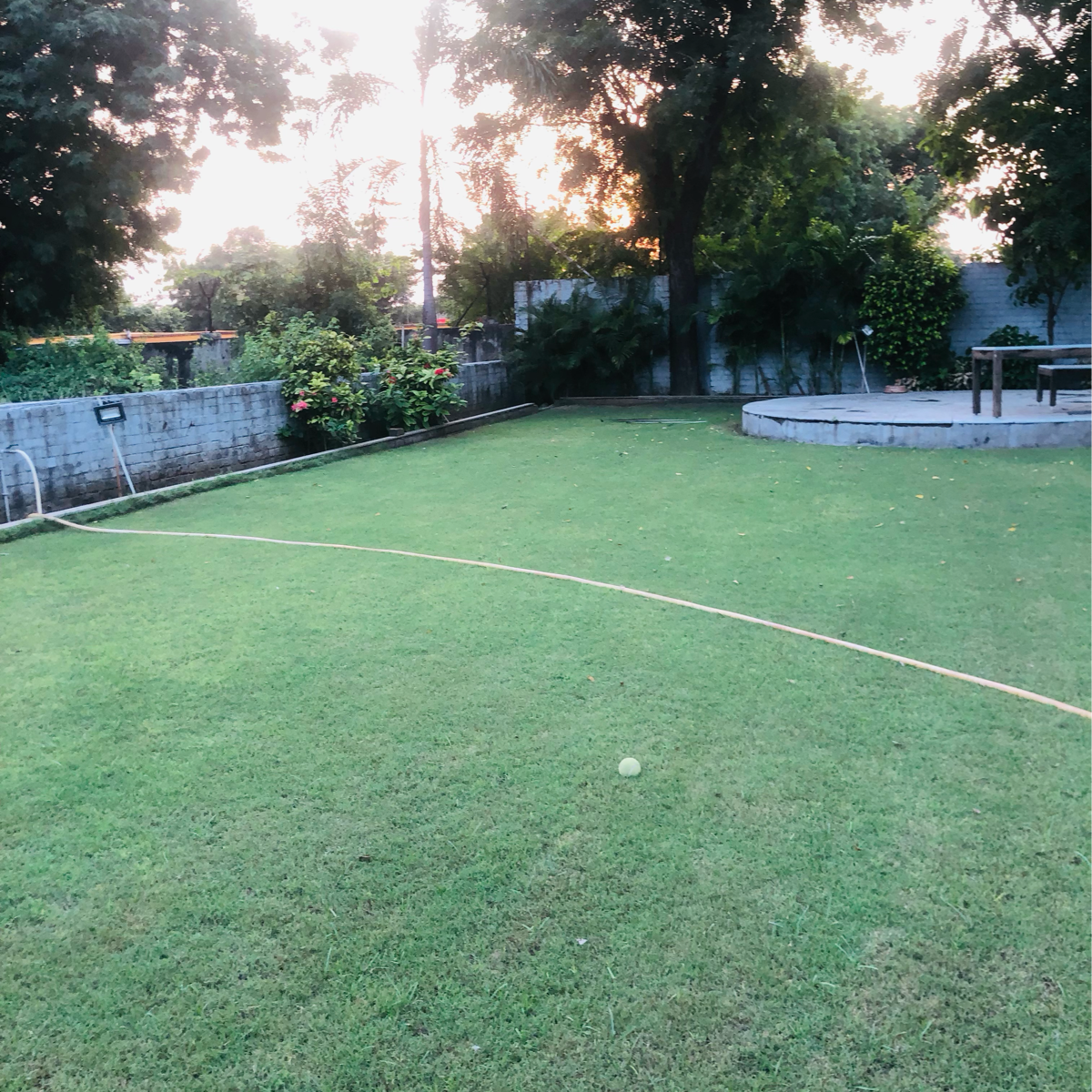 Plot For Sale in Science City 