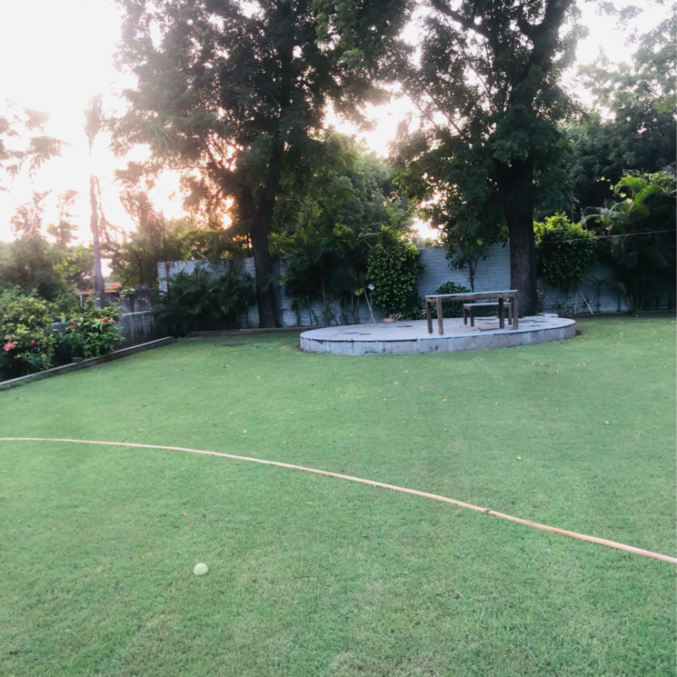 Garden, science city  500 Sq.Yd. Plot In Science City Ahmedabad 7809488