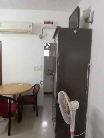 1 RK Apartment For Rent in Vasant Vihar Delhi  7809483