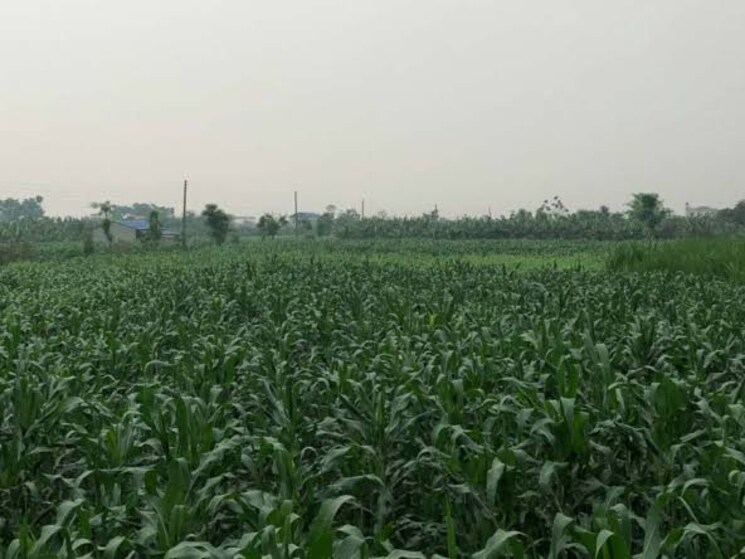 undefined, tikri  3 Acre Plot In Tikri Gurgaon 7809749