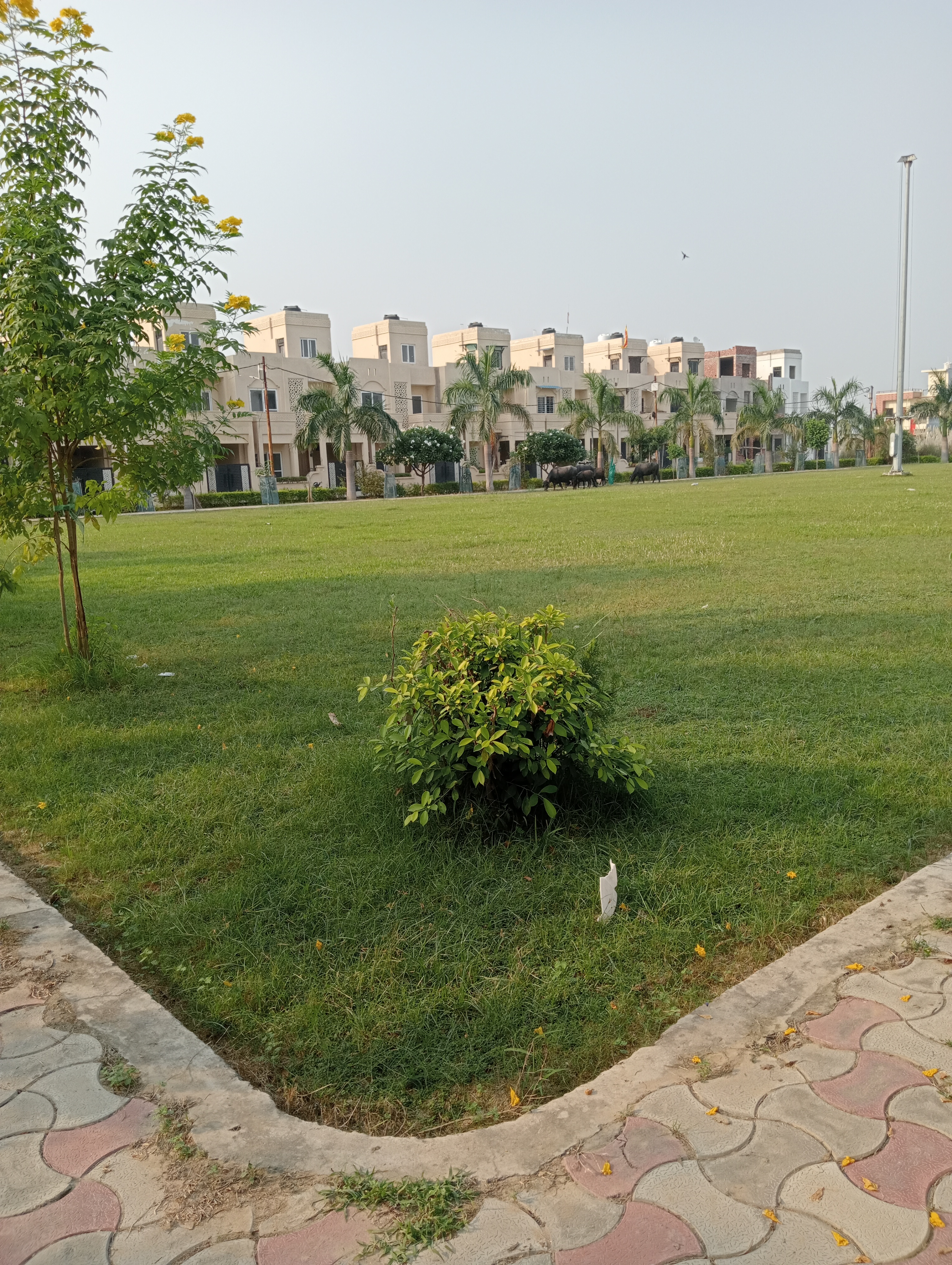 Plot For Resale in Wing Lucknow Greens Plots Sultanpur Road Lucknow  7809792