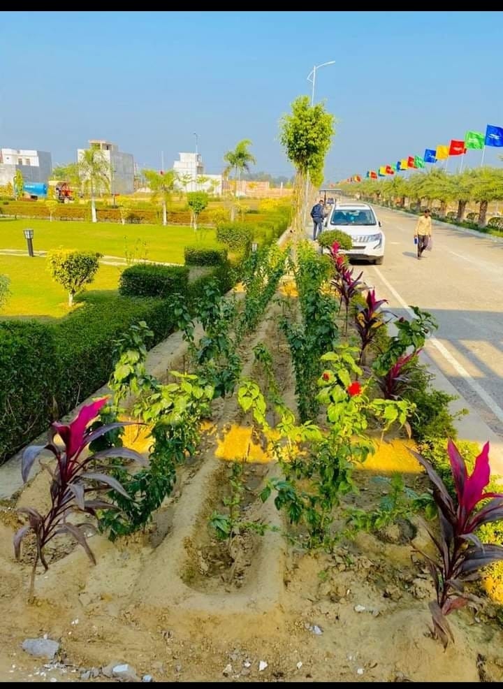 Plot For Sale in Wing Lucknow Greens Plots