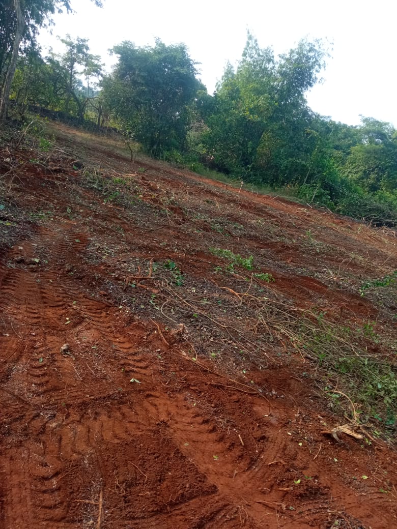 Plot For Resale in Harihareshwar Raigad  7810138