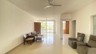 3 BHK Builder Floor For Rent in DLF Hyde Park South Mullanpur Chandigarh  7810223