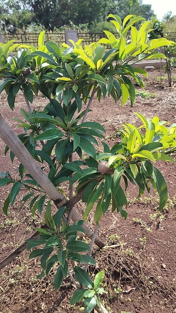  Plot For Sale in Kamkole