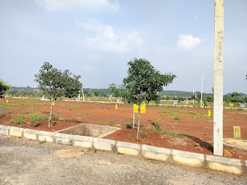 Plot Area in  Plot at Budhera – for Sale