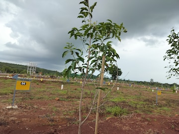 Plot Area in  Plot at Kamkole – for Sale