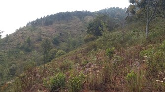 Plot For Resale in Coonoor Ooty  7809103