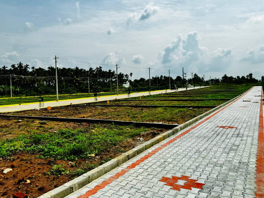 Plot For Resale in Dasanapura Bangalore  7810880