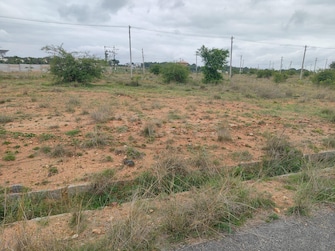 Plot For Resale in Chunchanaguppe Bangalore  7810985