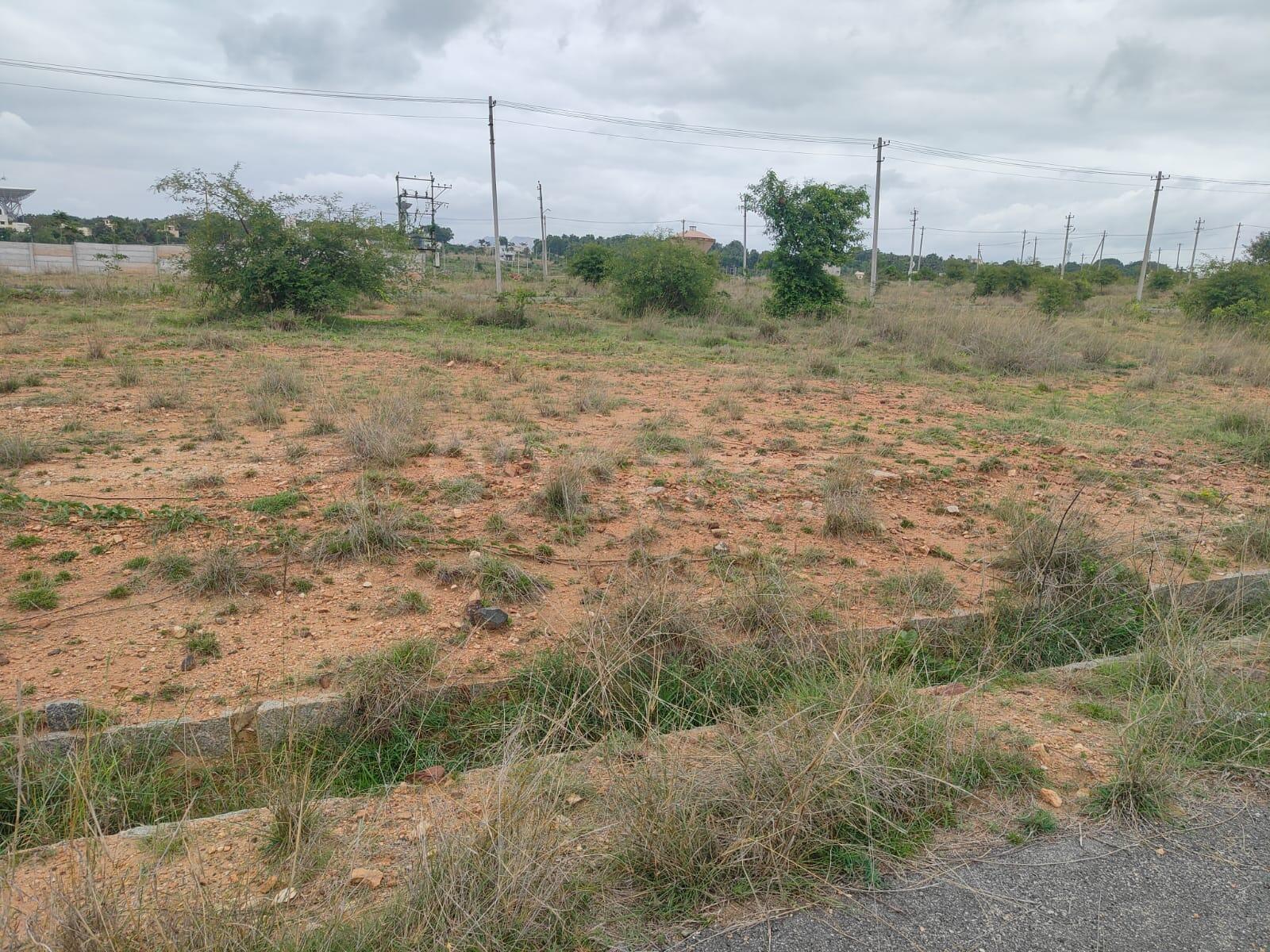 Plot For Resale in Chunchanaguppe Bangalore  7810985