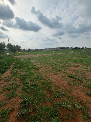 Plot Area in  Plot at Mangalagiri – for Sale