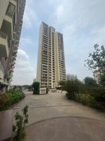 3 BHK Apartment For Sale in Supertech Araville, Sector 79