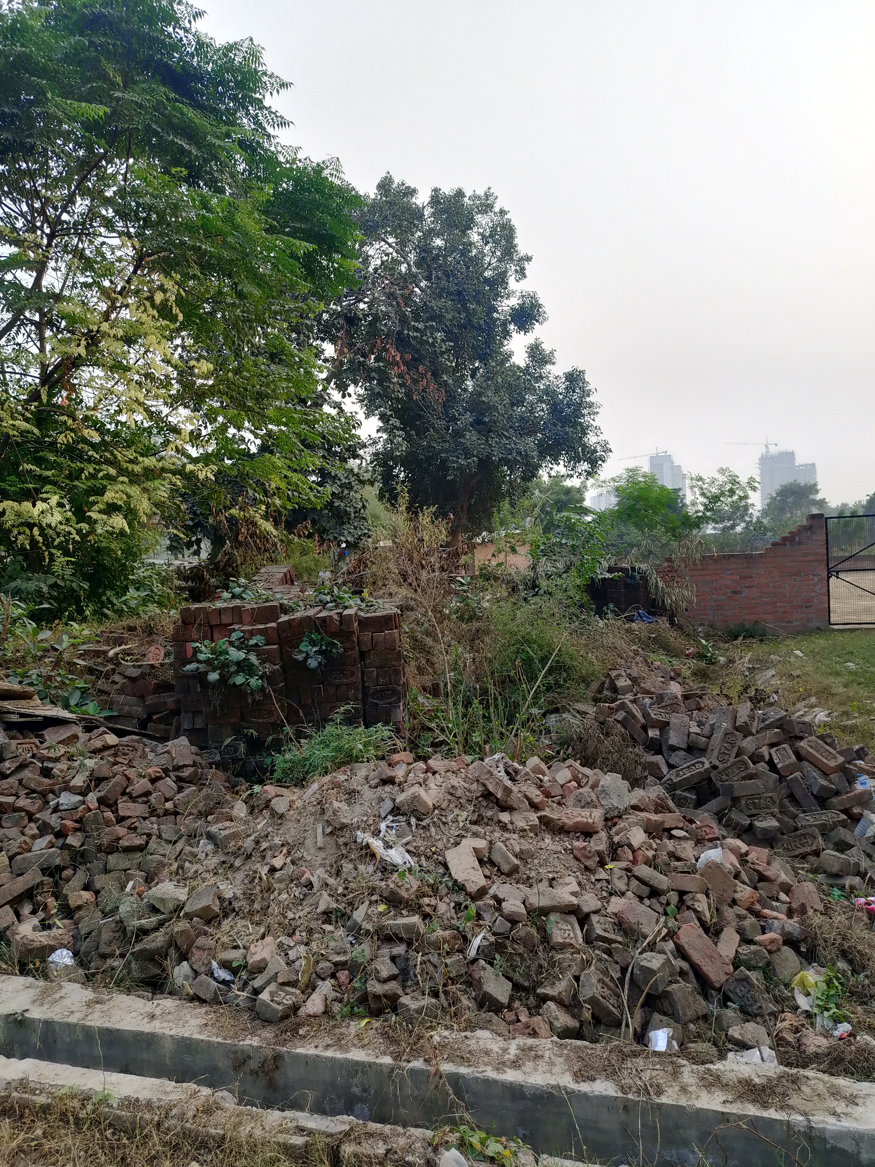 Plot For Resale in Gomti Nagar Lucknow  7811247