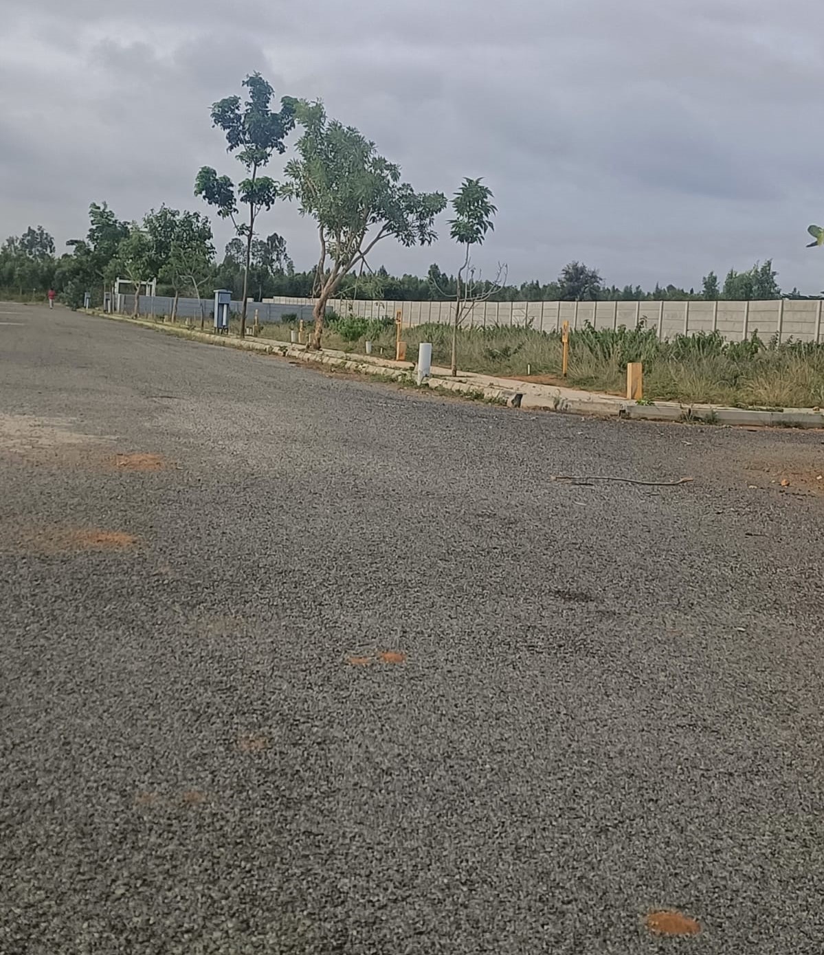 Plot For Resale in Nayaka Residency Agara Bangalore  7811241