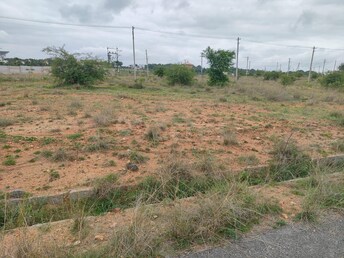 Plot For Resale in Devanahalli Bangalore  7811296