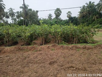 Commercial Land 3 Acre For Resale in Rajanagaram Rajahmundry  7811284