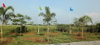 Plot For Resale in Changurabhata Raipur  7811484