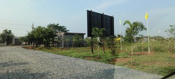 Plot For Resale in Bajinath Para Raipur  7811484