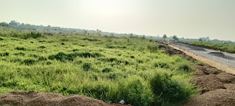 Plot For Resale in Chandi Raipur  7811499