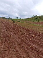 100 Acre Plot in Signature 360