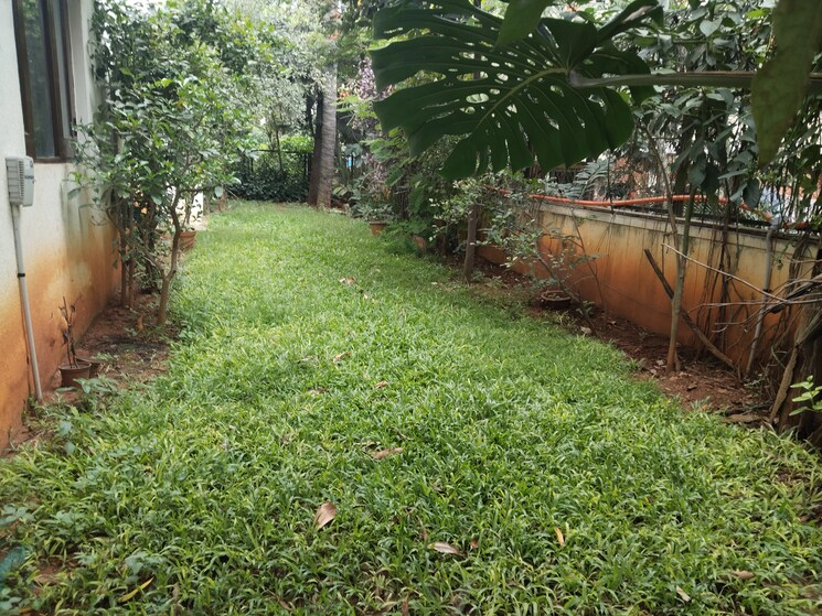 Garden, waterwoods 3 Bedroom 2530 Sq.Ft. Apartment In Whitefield Bangalore 7811698