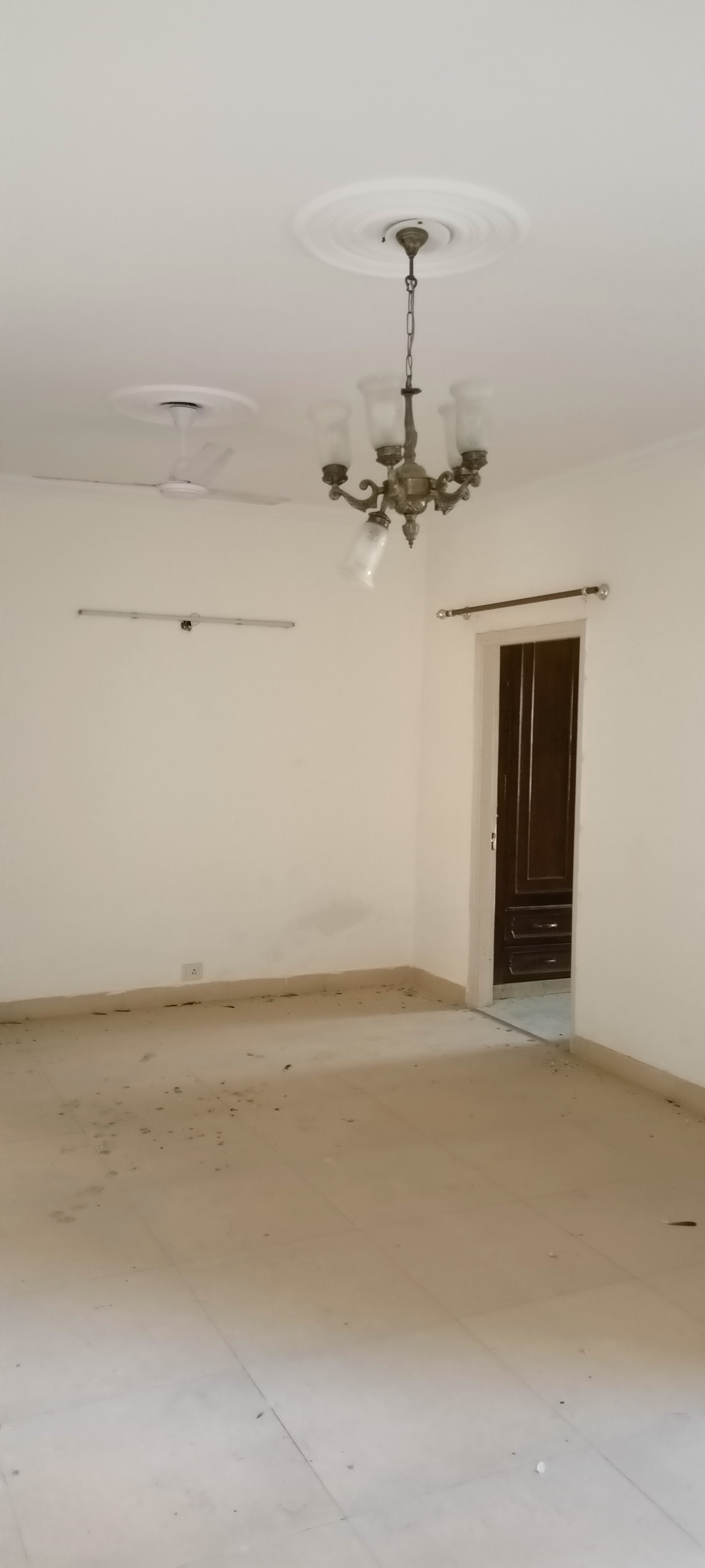 3.5 BHK Apartment For Rent in Stellar Icon Gn Sector Chi Iii Greater Noida  7811808