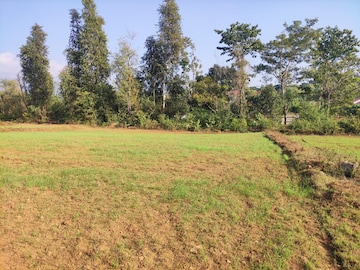 Plot For Resale in Mulgao Goa  7811841