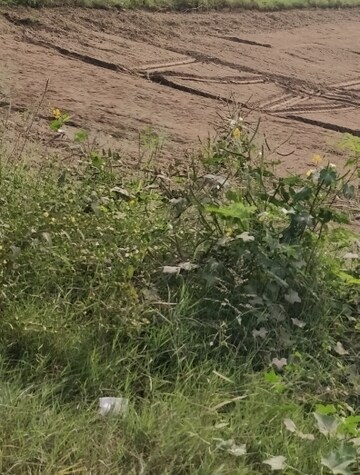  Plot For Sale in KharaR-Banur Road