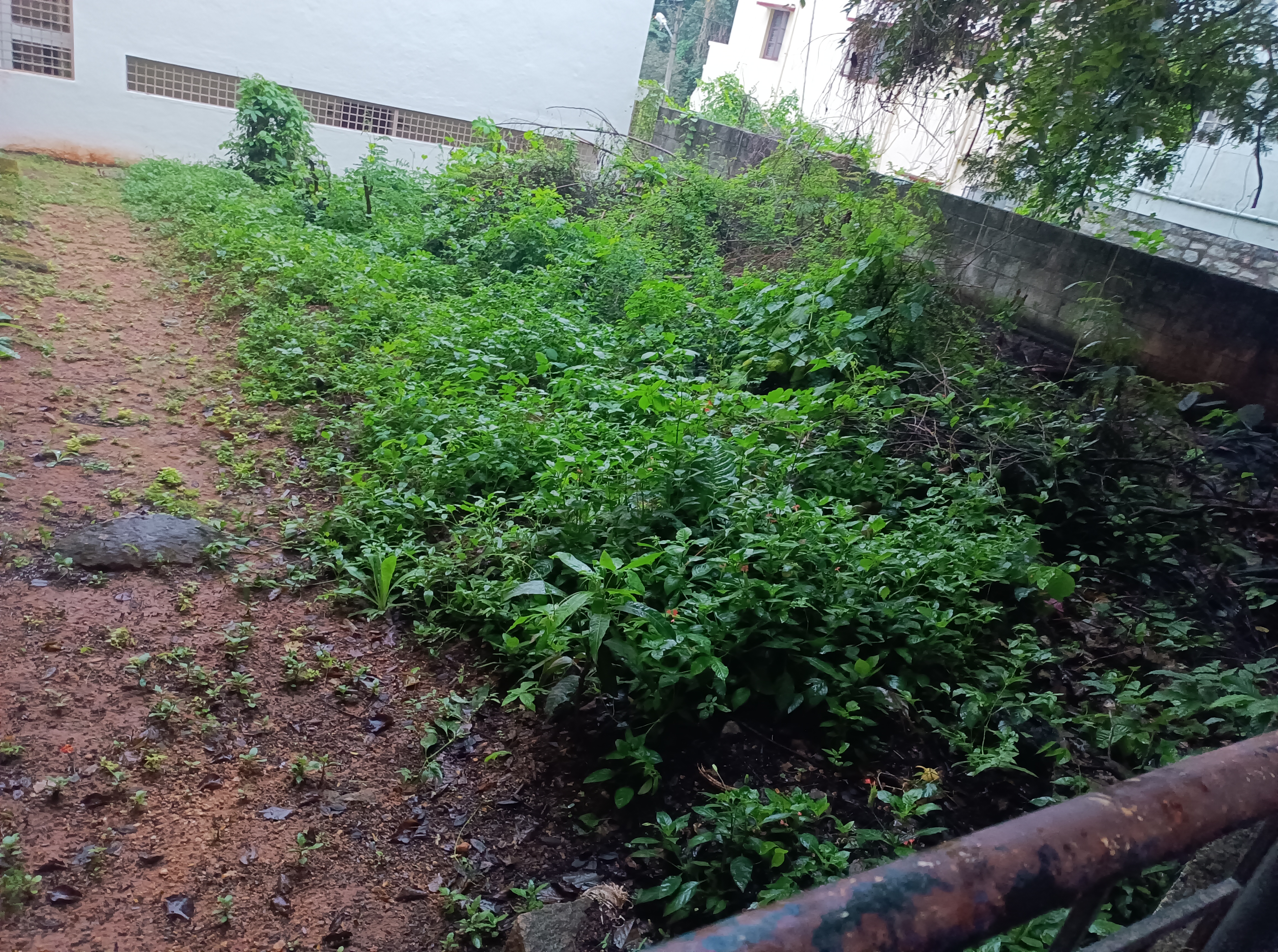 Plot For Sale in Bhattarahalli