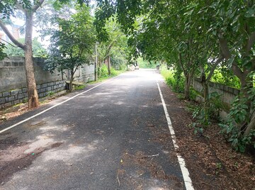 Plot Area in  Plot at Kariyana Palya – for Sale