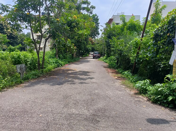 Garden, srinivasapur  1200 Sq.Ft. Plot In Srinivasapur Bangalore 7812136