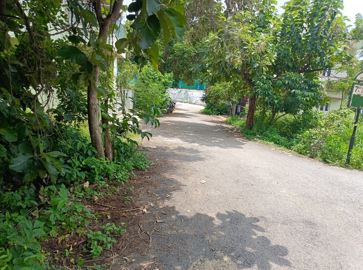 undefined, srinivasapur  1200 Sq.Ft. Plot In Srinivasapur Bangalore 7812136