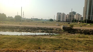 Plot Area in  Plot at Sector 80 – for Sale