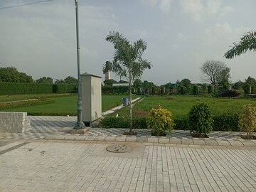 Plot Area in  Plot at Sector 77 – for Sale