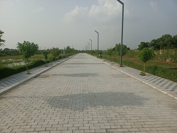  Plot – Exterior View View at Sector 77 - for Sale