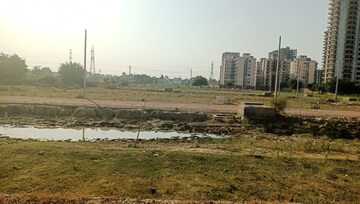 Plot Area in  Plot at Sector 75 – for Sale