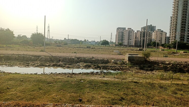 undefined, sector 75  302 Sq.Yd. Plot In Sector 75 Faridabad 7812166