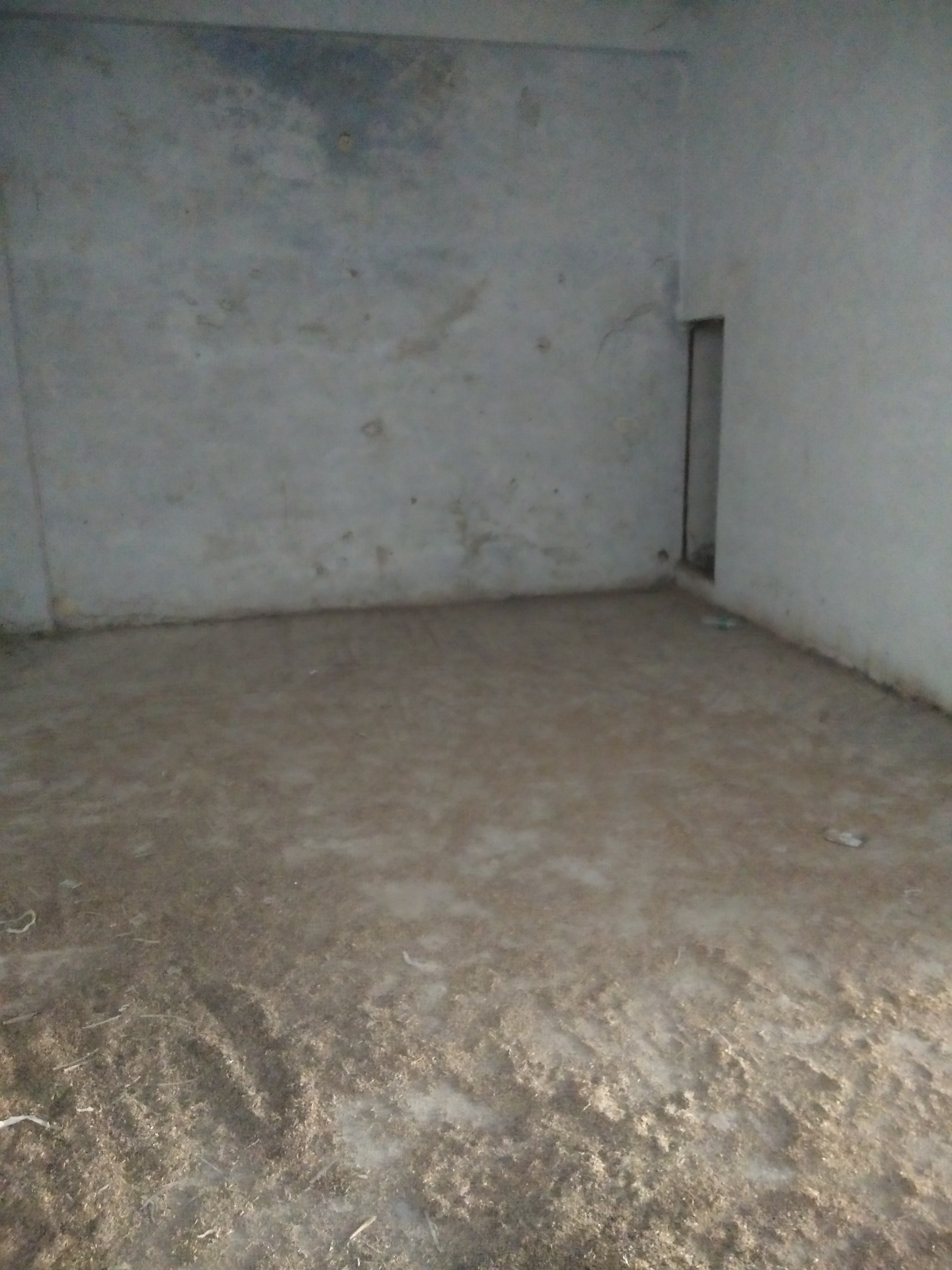 Commercial Warehouse 2430 Sq.Ft. For Rent in Sanjay Gandhi Transport Nagar Delhi  7812313