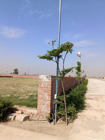  Plot – Exterior View View at Jewar - for Sale