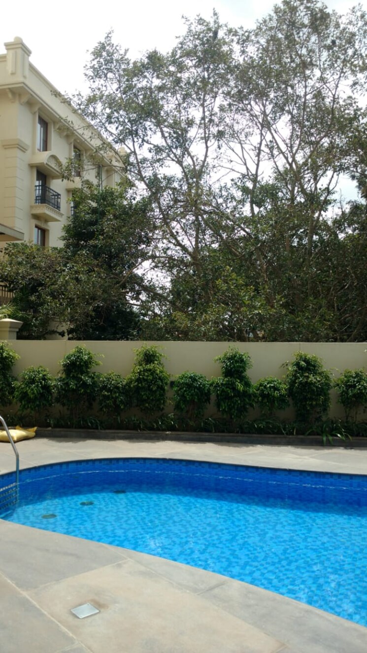 Swimming Pool, legacy-celino 4 Bedroom 3720 Sq.Ft. Apartment In Thanisandra Bangalore 7812664