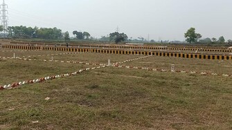 Plot For Resale in Sharda Nagar Kanpur  7812701