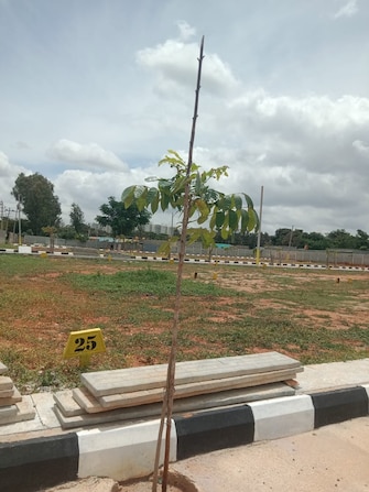 Plot For Resale in CNR Asare Enclave Hesaraghatta Bangalore  7812729