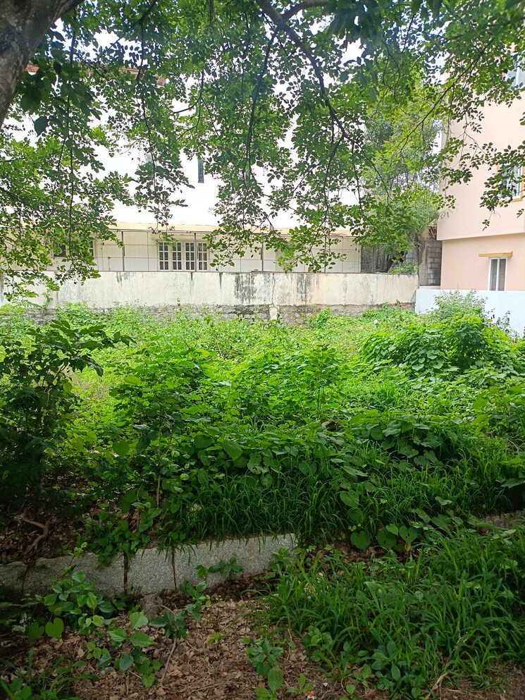 undefined, akshayanagar  2653 Sq.Ft. Plot In Akshayanagar Bangalore 7813117