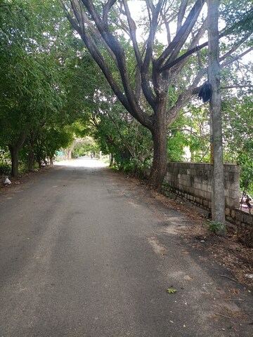 Plot Area in  Plot at Akshayanagar – for Sale